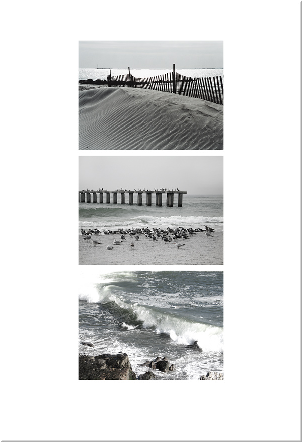 seashore_trip_a_a_desat.jpg
