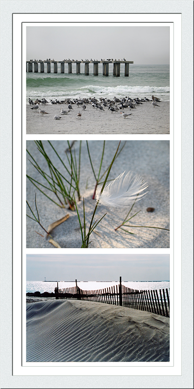 seashore_trip_b.jpg