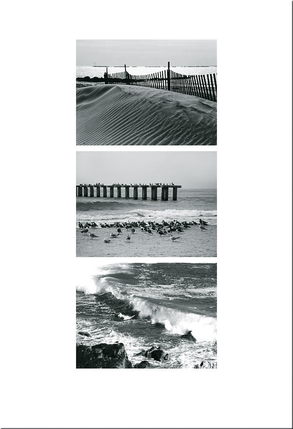 seashore_trip_c_c_duo.jpg