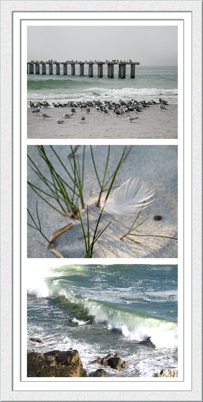 seashore_trip_feather.jpg